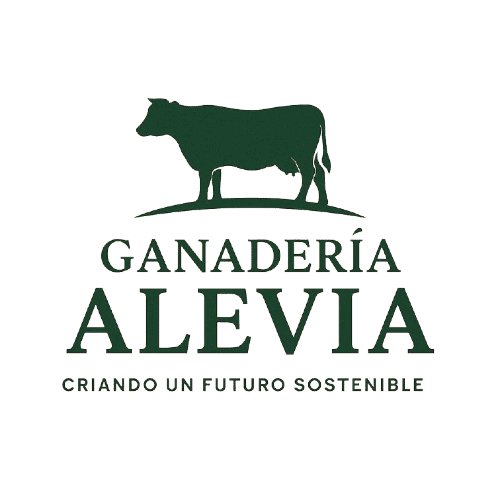 logo-sin-fondo-removebg-preview